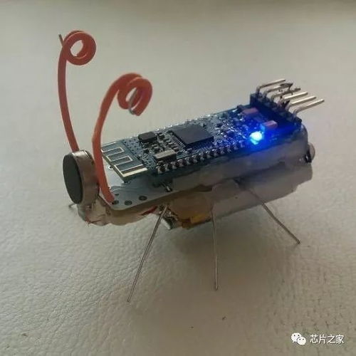 電子元器件的藝術(shù)新生 當(dāng)技術(shù)零件變成視覺詩歌